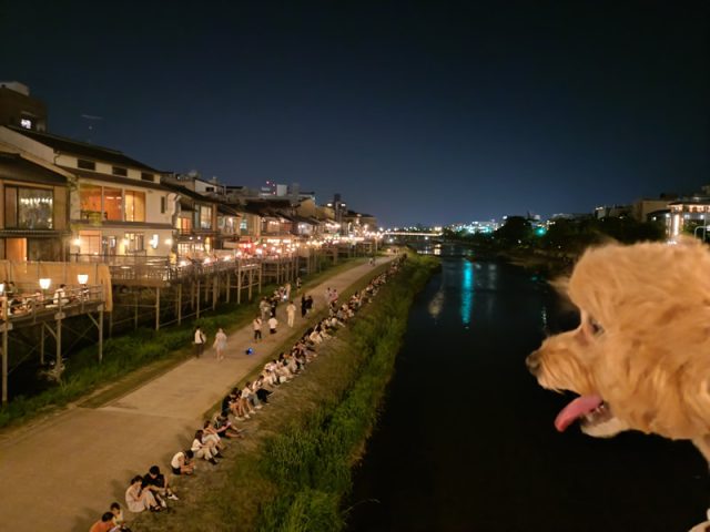 鴨川沿い